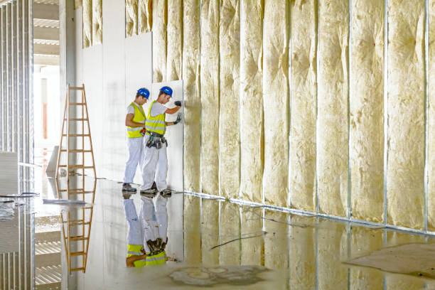Best Commercial Insulation in Channel Lake, IL